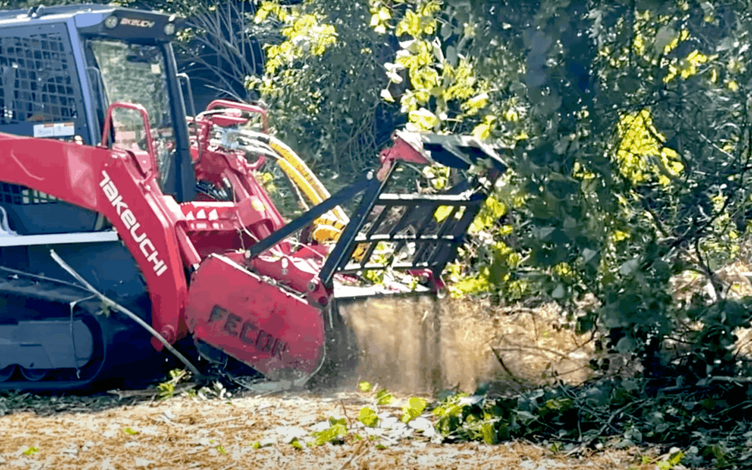 Forestry mulching with a skid-steer mulcher in Chicagoland