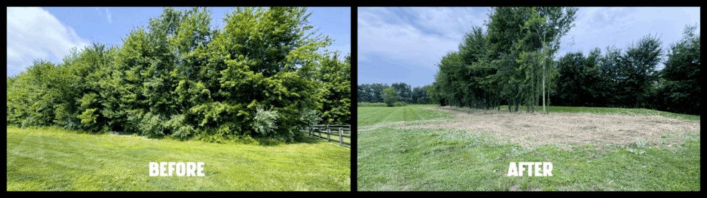 Before and after forestry mulching on an overgrown Chicagoland property