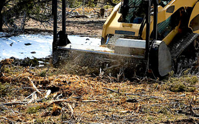 How Much Does Forestry Mulching Cost in Illinois?